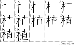 Stroke Order Diagram